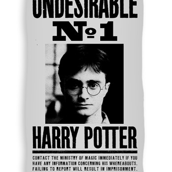 Плажна кърпа от памук Harry Potter като най-желан герой
